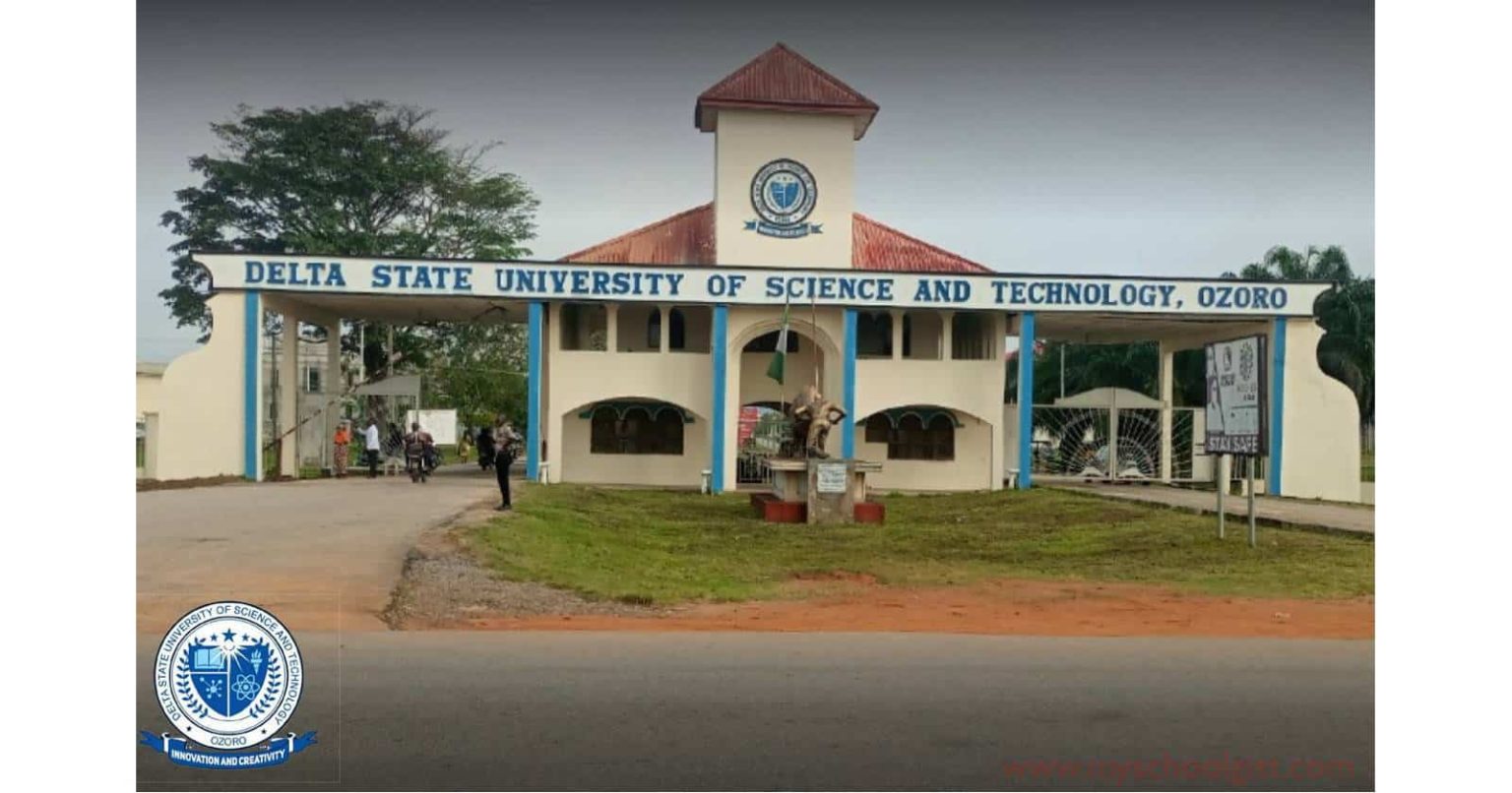 DSUST Pre-Degree Admission List 2024/2025 How To Check