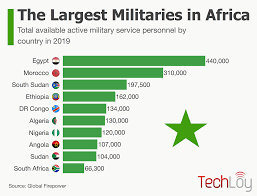 List of African Countries with The Largest Armies (2024)